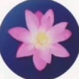 aehz199112