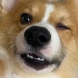 eeeeee_mo