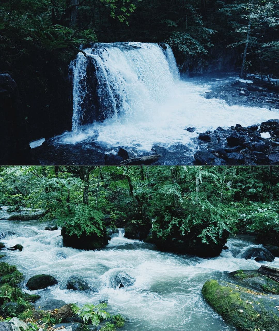 megapx