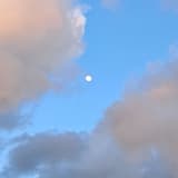 5633