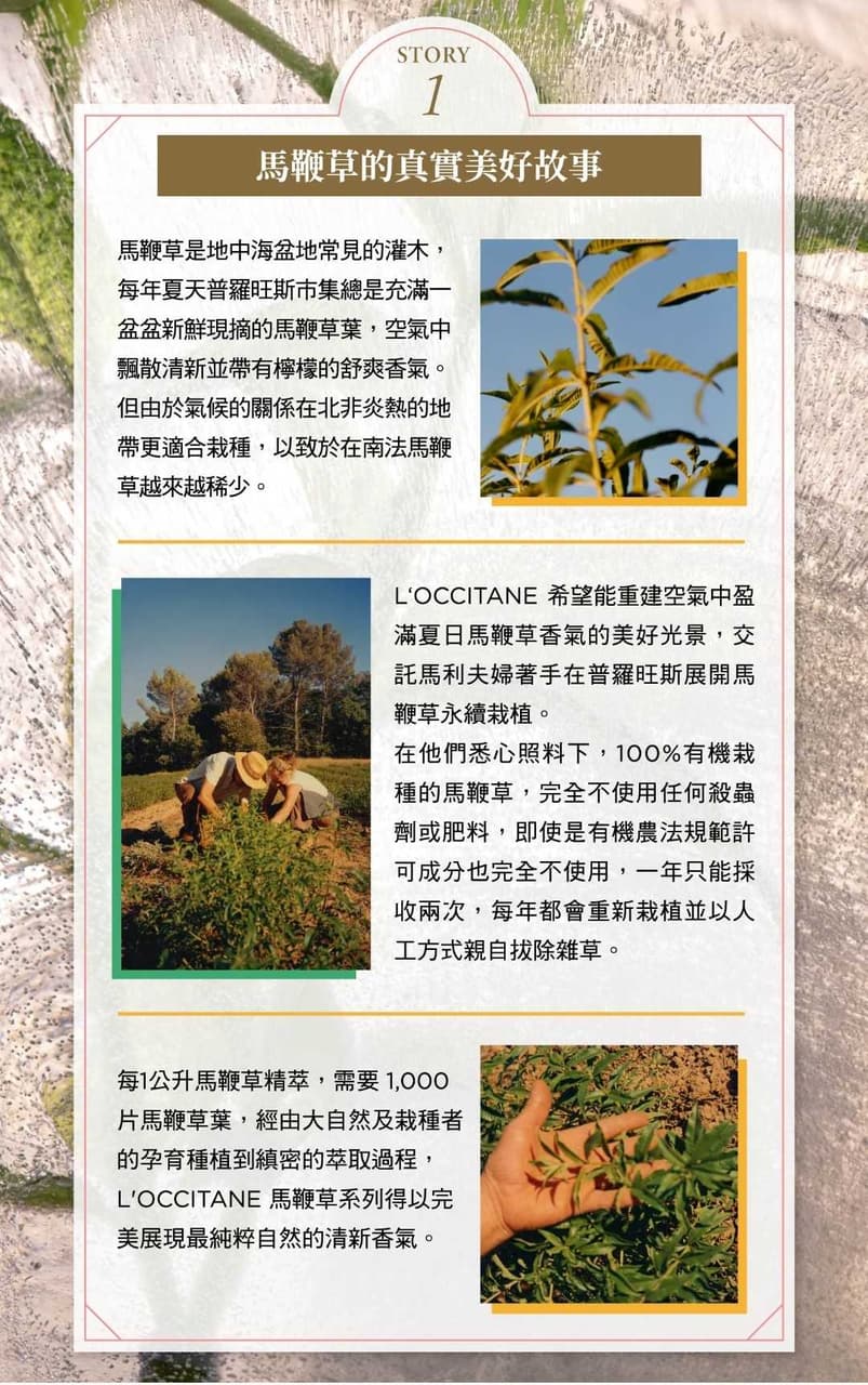 L’OCCITANE歐舒丹沁涼馬鞭草夏日解暑消臭去油大爆買之涼到你隨時隨地身處太平間!!!#生活儀式提案 - GinzaSix ...