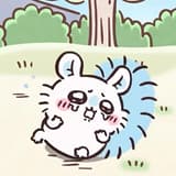 qqqo