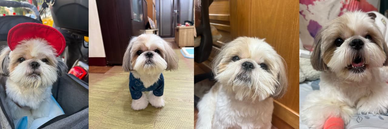 宵夜可以吃什麼