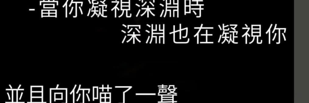鮭魚鮭魚（｡◕‿◕｡