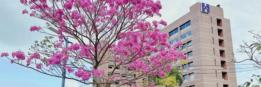 李維鈞 醫師