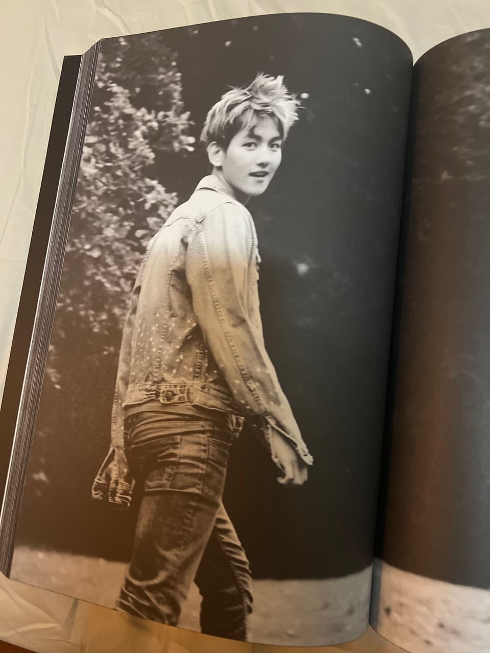 EXO写真集 DIE JUNGS EXO [DIE JUNGS EXO-K] Photo Book 340P K-POP SEALED | eBay