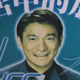 麻雀理毛學院 鳥類觀察系