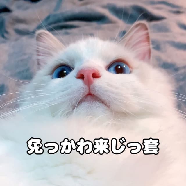 megapx