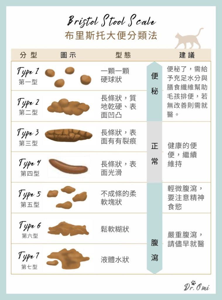 貓咪軟便問題請益 - 寵物板 | Dcard