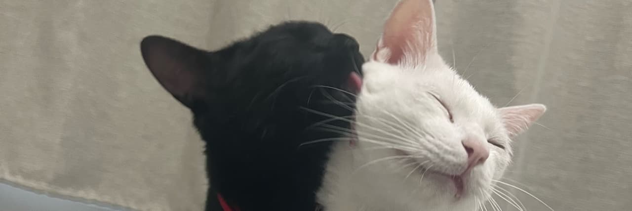 🍙