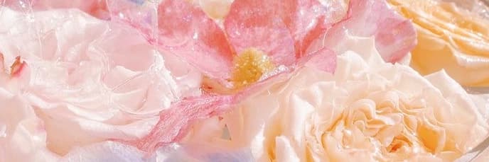 蘿絲莉莉