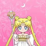 小C