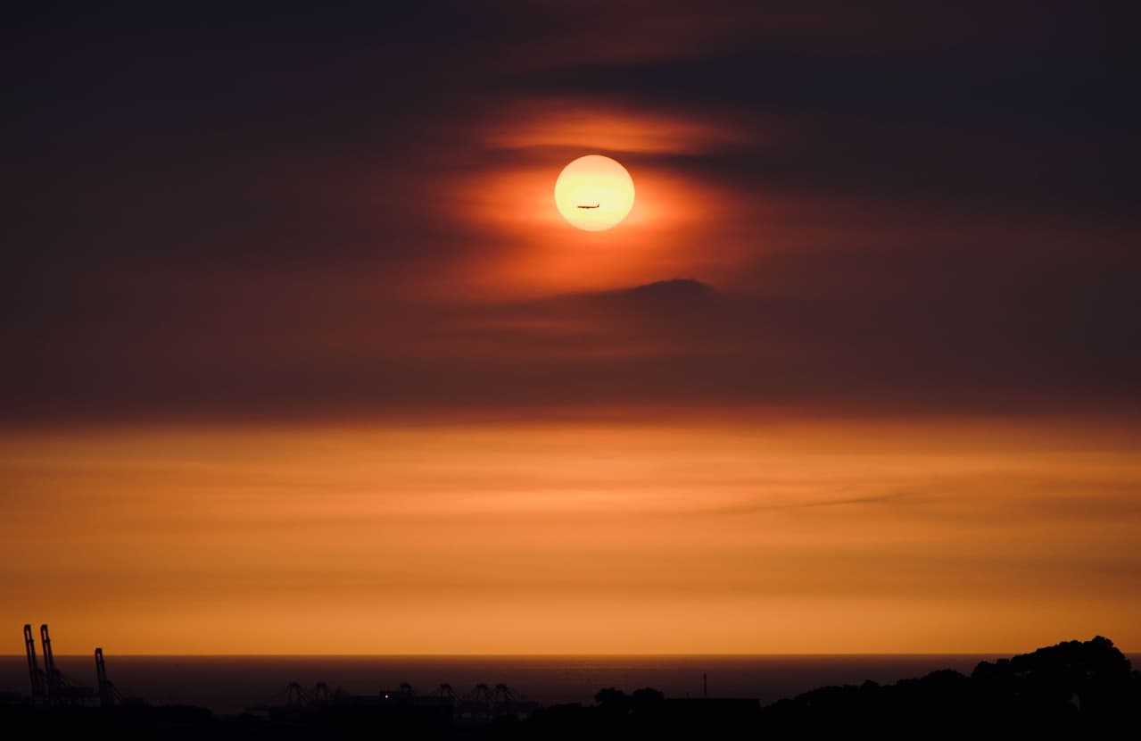 樹與夕陽 夕阳枯树素材-夕阳枯树图片-夕阳枯树设计模板-昵图网