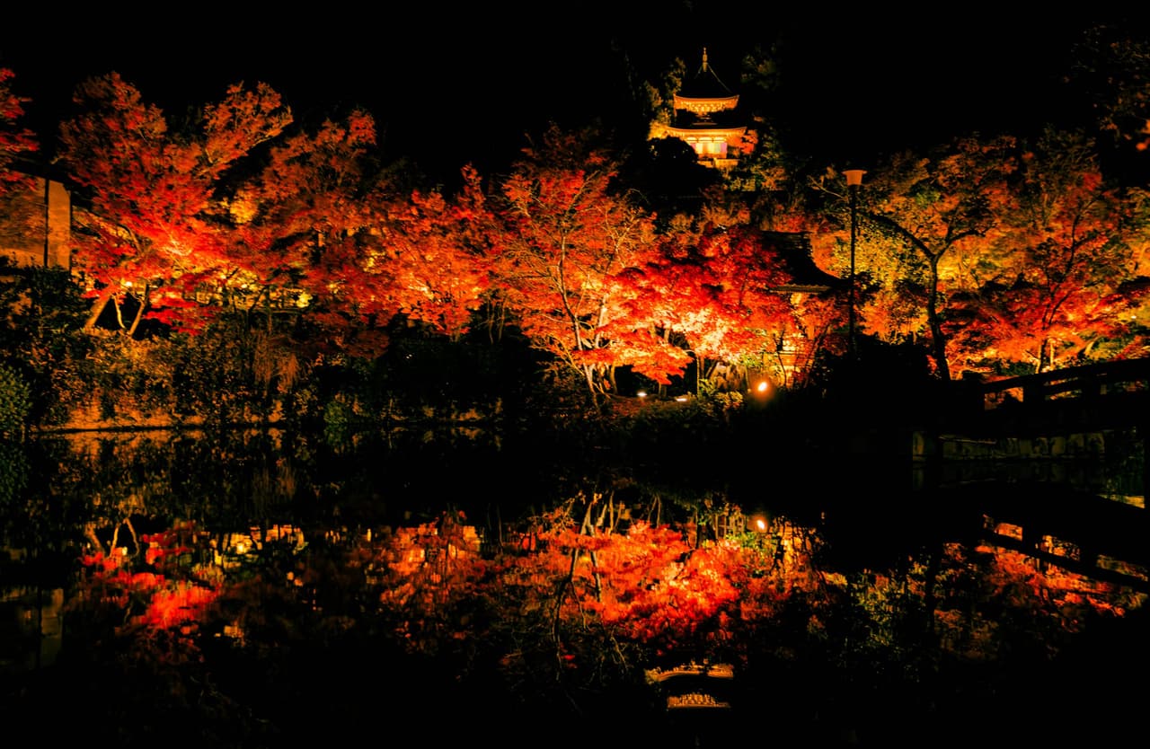 日本夜楓紀事 - 永觀堂 - 日本旅遊板 | Dcard