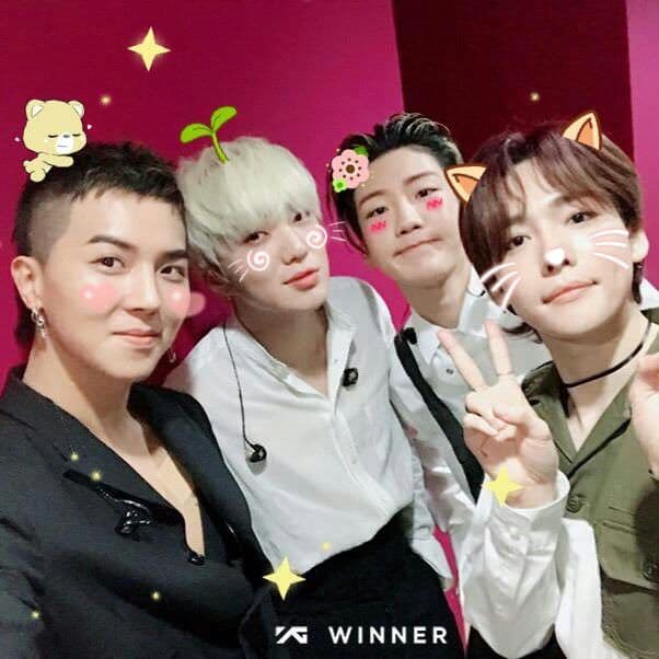 #WINNER 問卷調查結果（文長） - 追星板 | Dcard