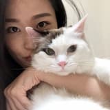 香草冰淇淋