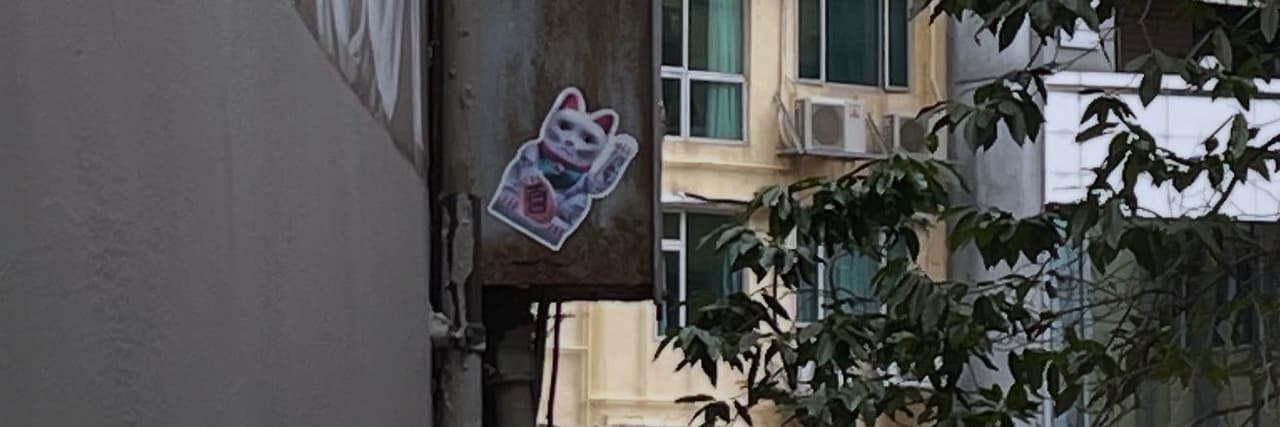 Liri🐱