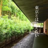 taipeidaddy