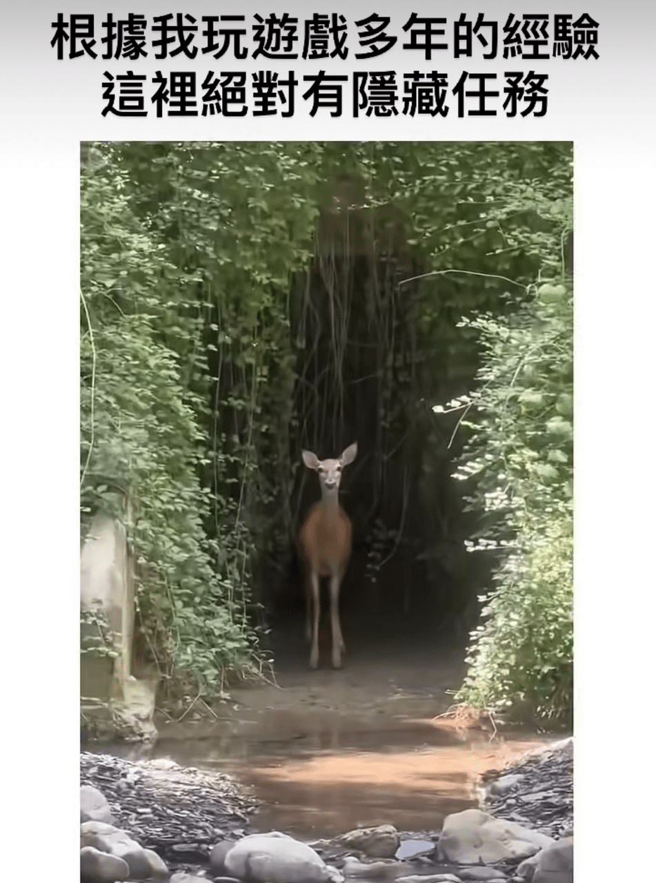 梗圖板熱門討論 | Dcard