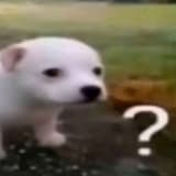 考古學家