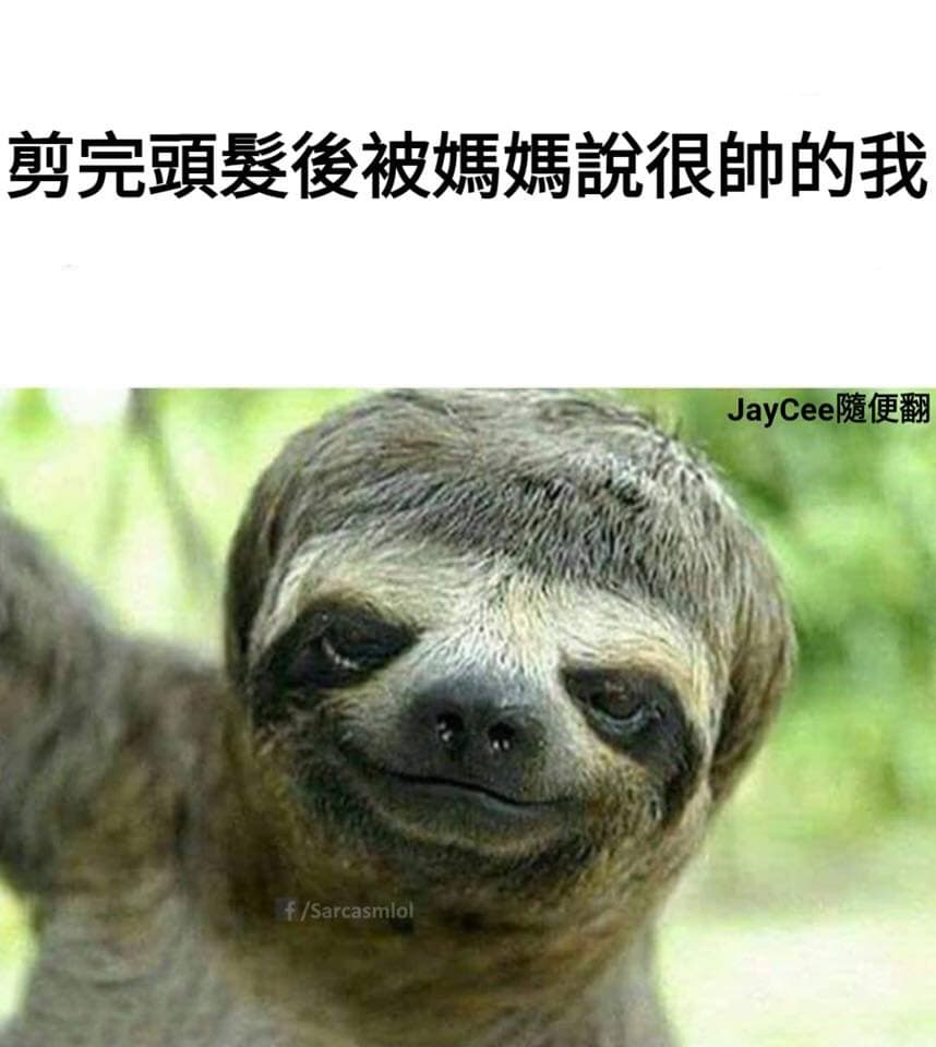 帥打帥 - 梗圖板 | Dcard