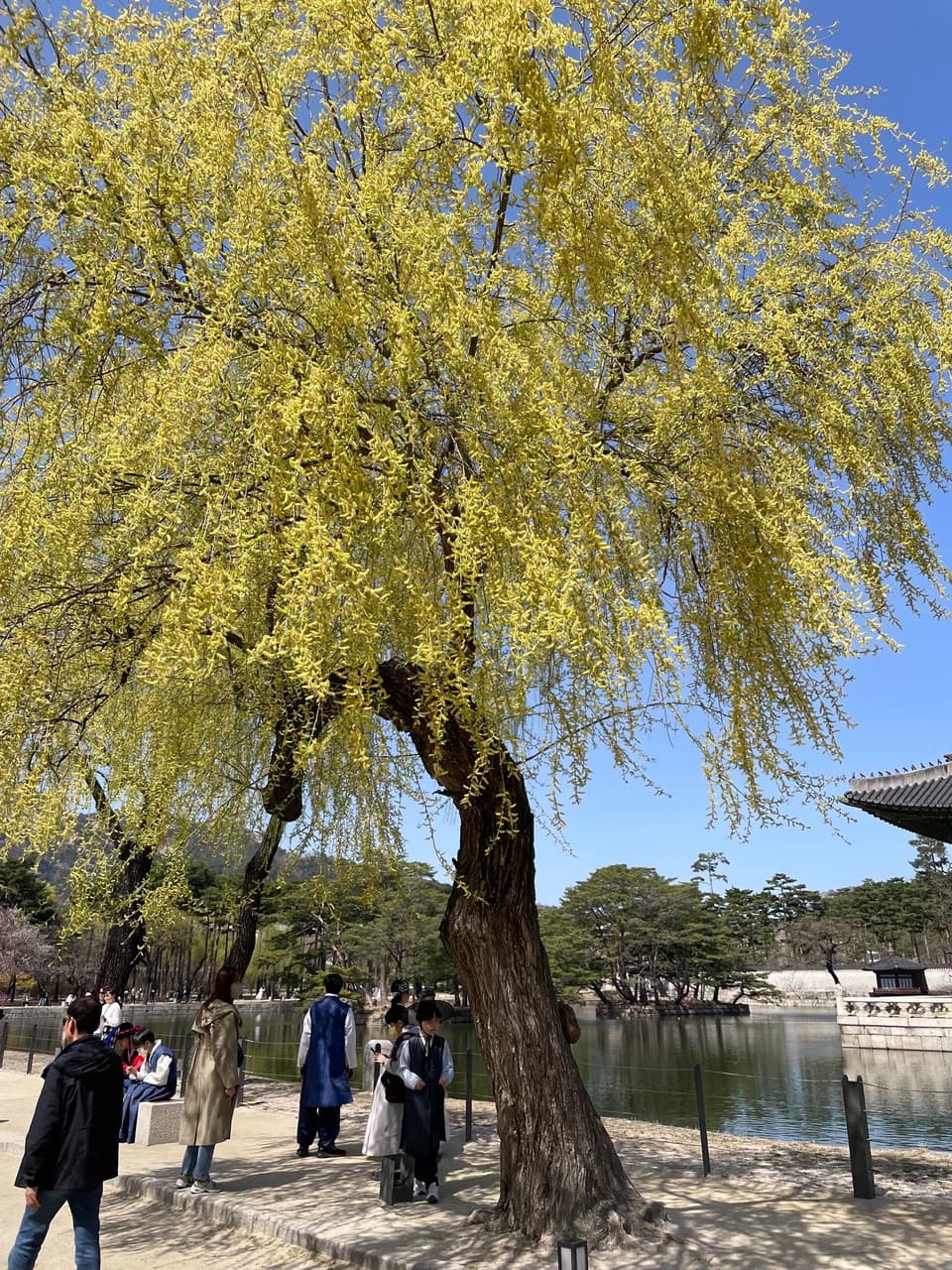 韓國首爾6天5夜 Part 2 - 旅遊板 | Dcard