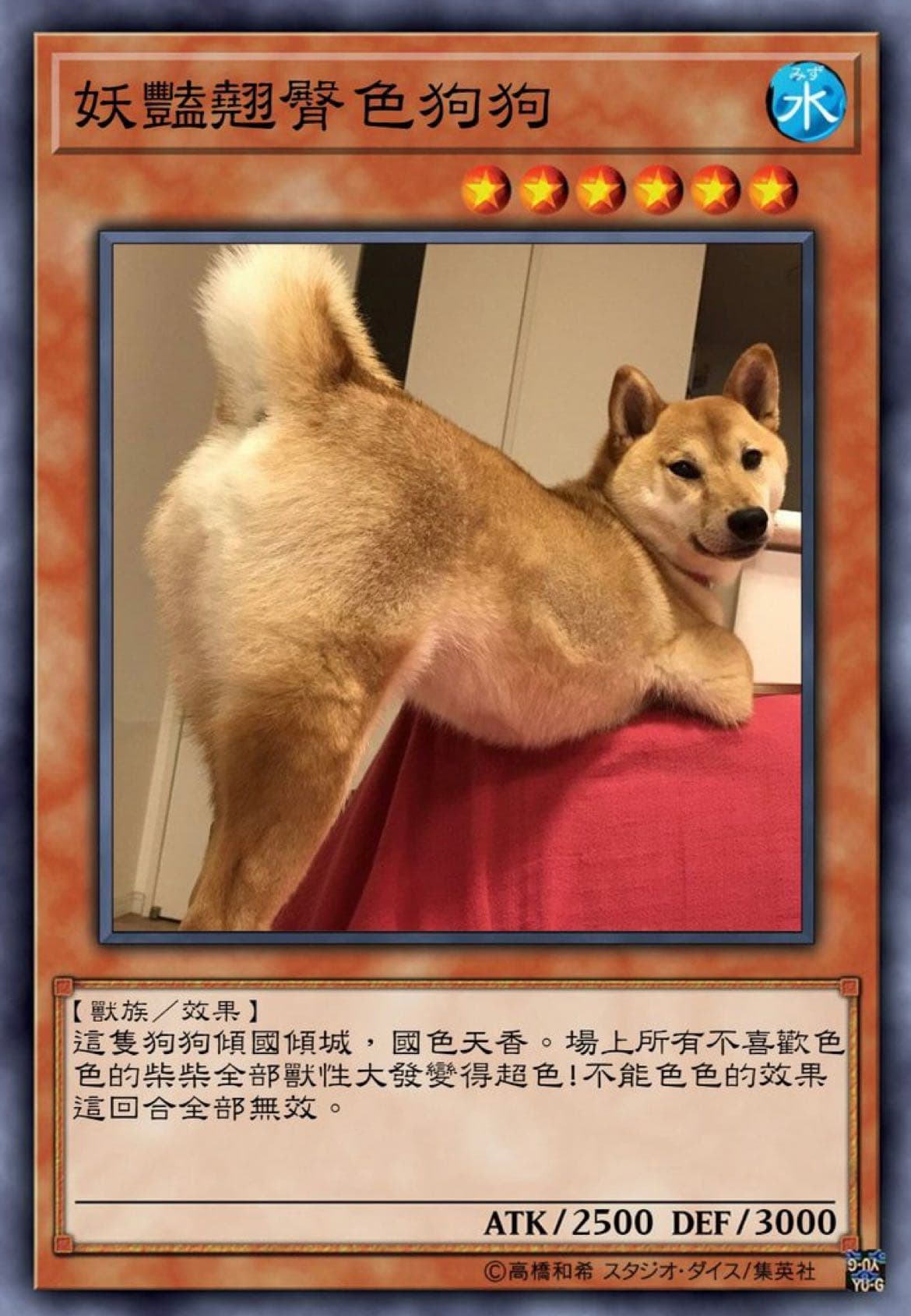 想蒐集各種色色柴柴王卡- 梗圖板| Dcard