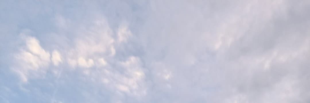 願世界還是充滿好人
