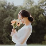 尖耳朵與圓耳朵