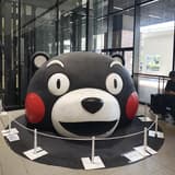 少主