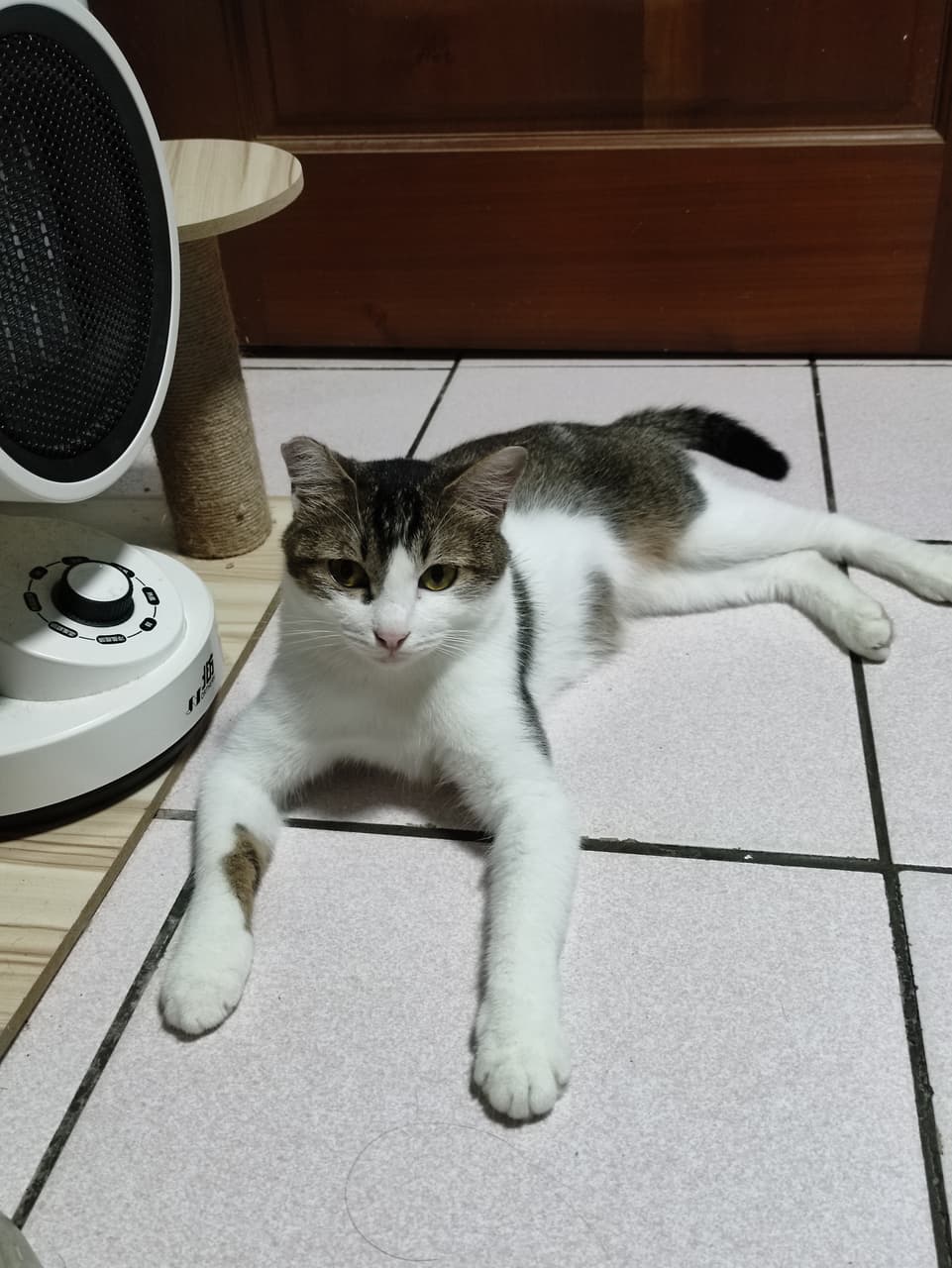 megapx