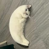 經事濟迷