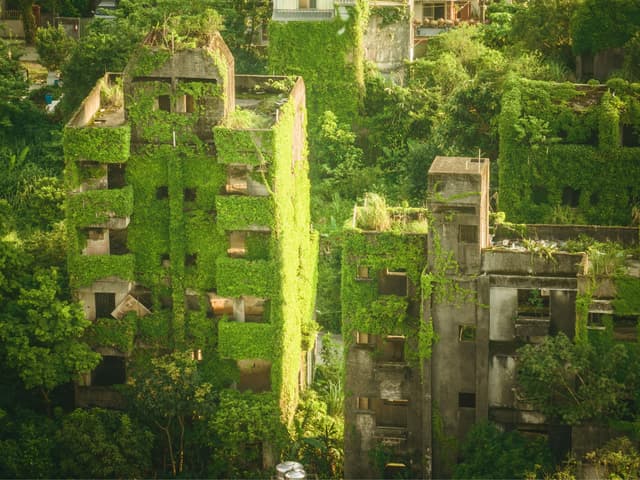 #作品 廢墟攝影-綠建築_天然的陶朱隱園 - 攝影板 | Dcard