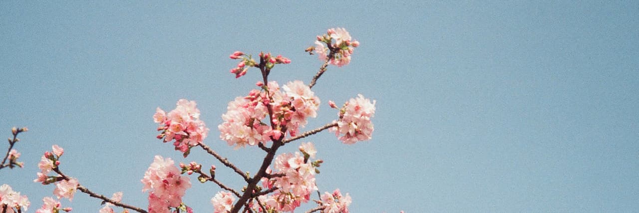 誰說2月只有28天