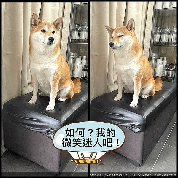 megapx