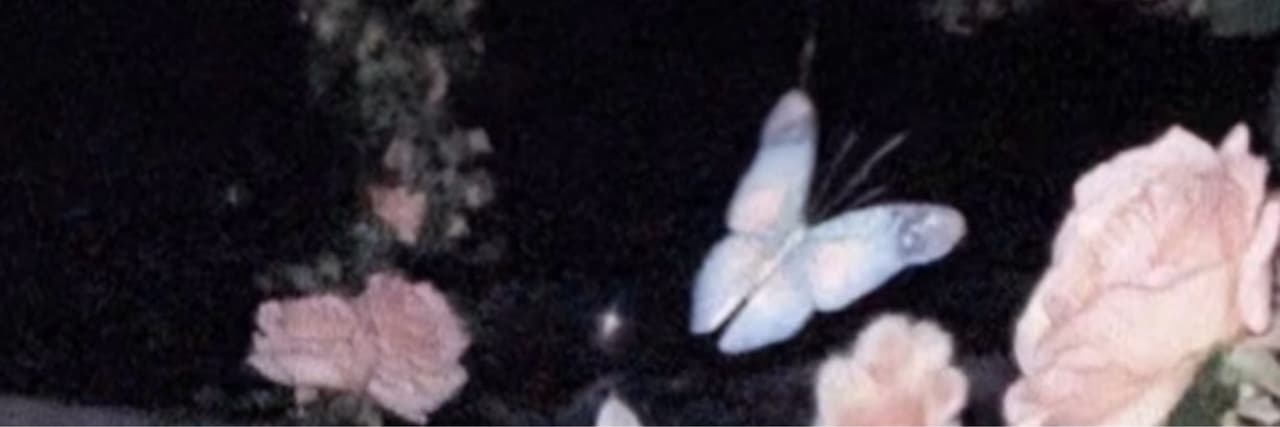 香菜很好吃