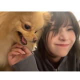 小怪獸汪