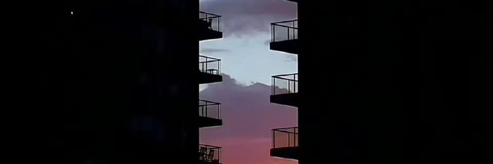 與梅花