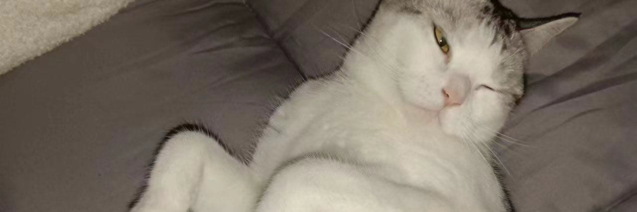 666
