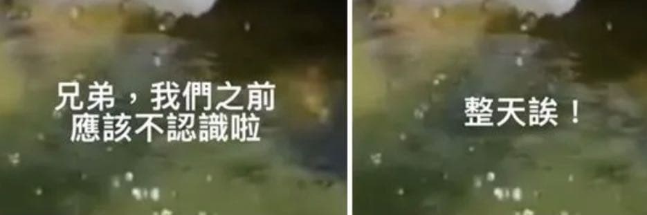 宮美春掐