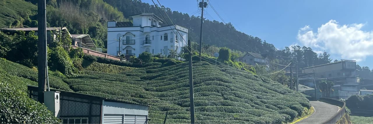 小P