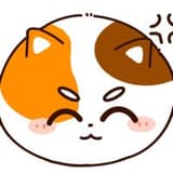 人生就像一隻貓