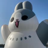 小兔牙