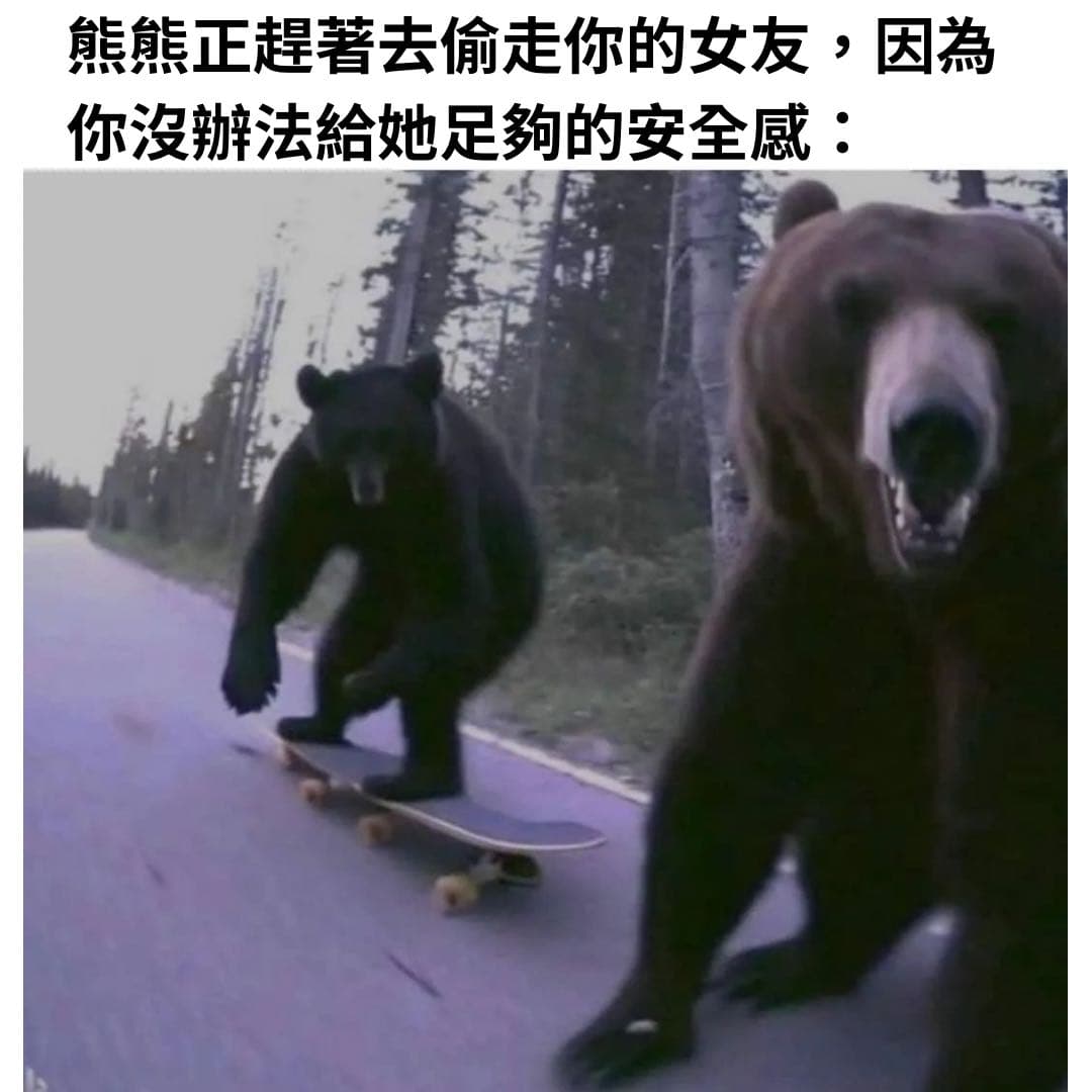 #翻譯 超酷熊熊出動 - 梗圖板 | Dcard