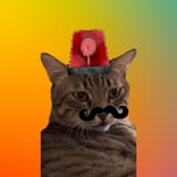 寶警官🐱