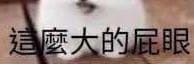 我住在深海的大鳳梨裡