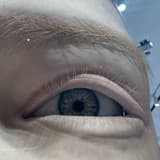 bri_gitte