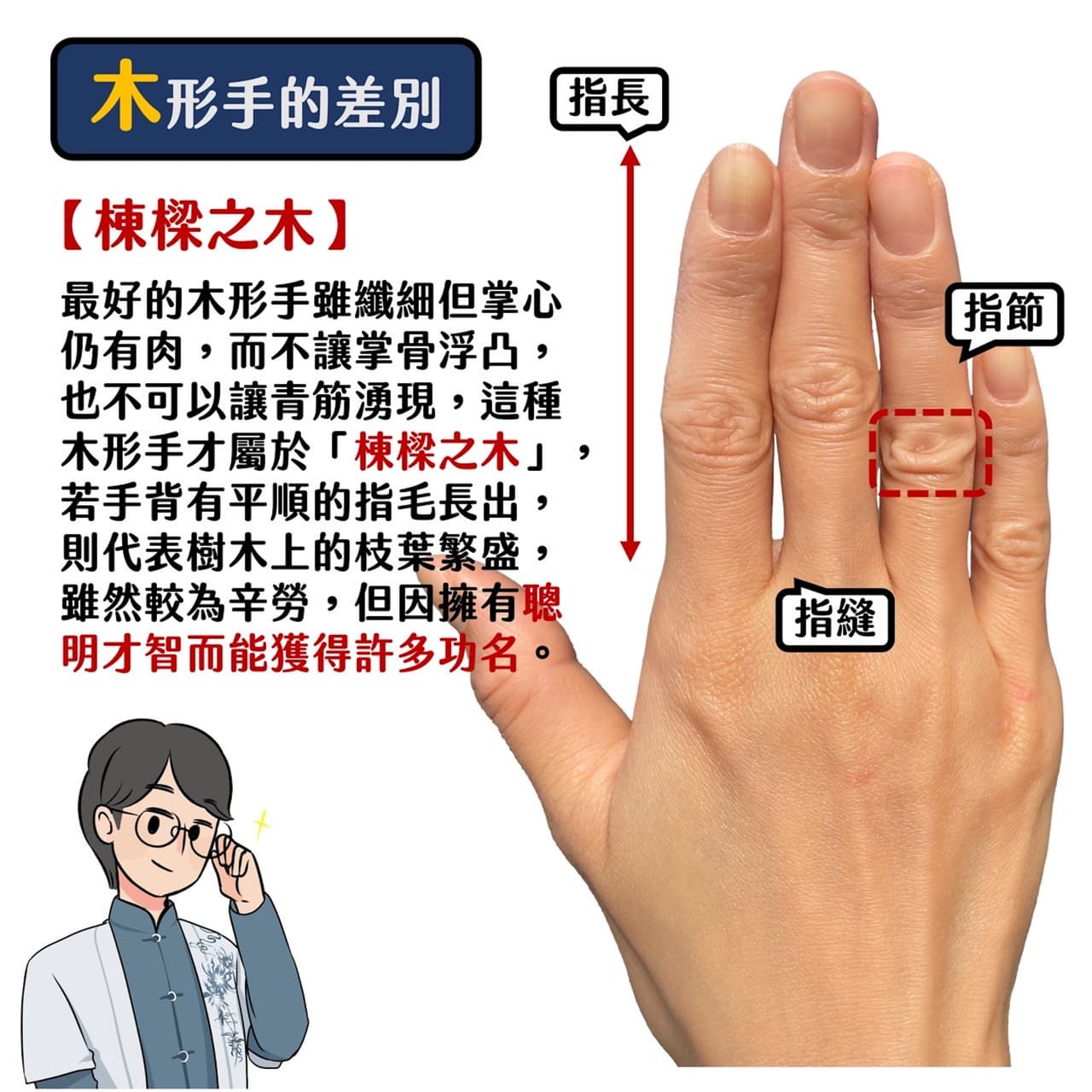 中醫師X命理師 - 木形手深入解析! - 手相夏多 (@kshad0w) | Dcard