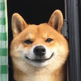 卡稱