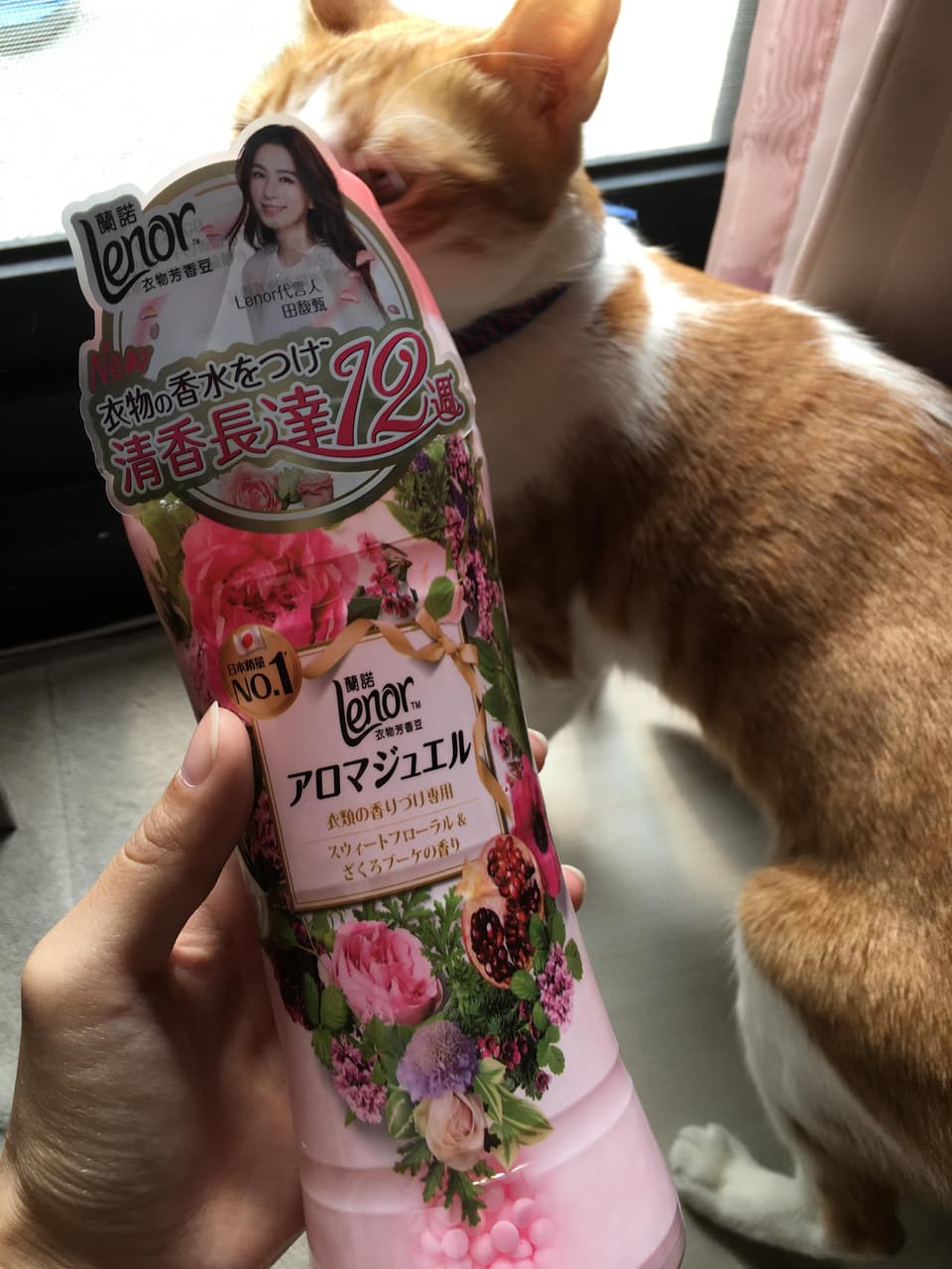 megapx